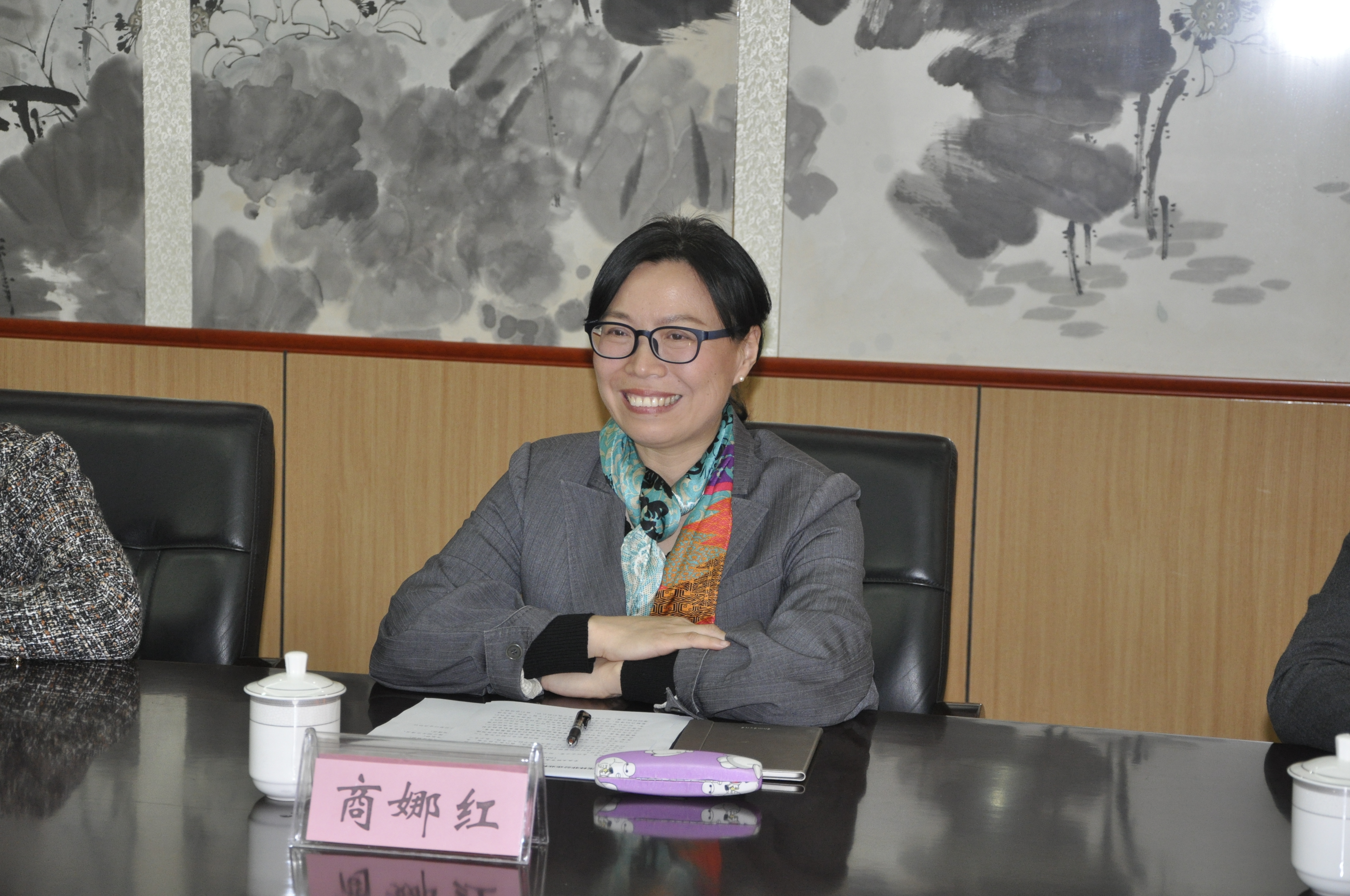 随后,商娜红部长从机械制造,电子信