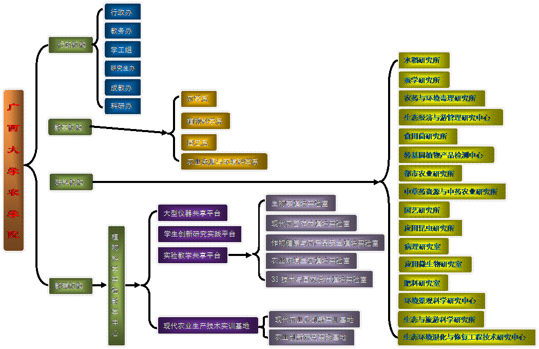 黄有总 刘芳 园艺系 主任 黄桂香 副主任 罗聪 宁云芬 植物保护系